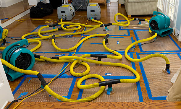 Professional Burst Pipe Water Damage technician working in Valley Springs, SD